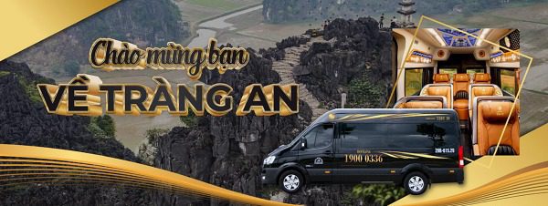 Ngành nghề cho thuê xe ô tô có cần giấy phép và điều kiện gì?