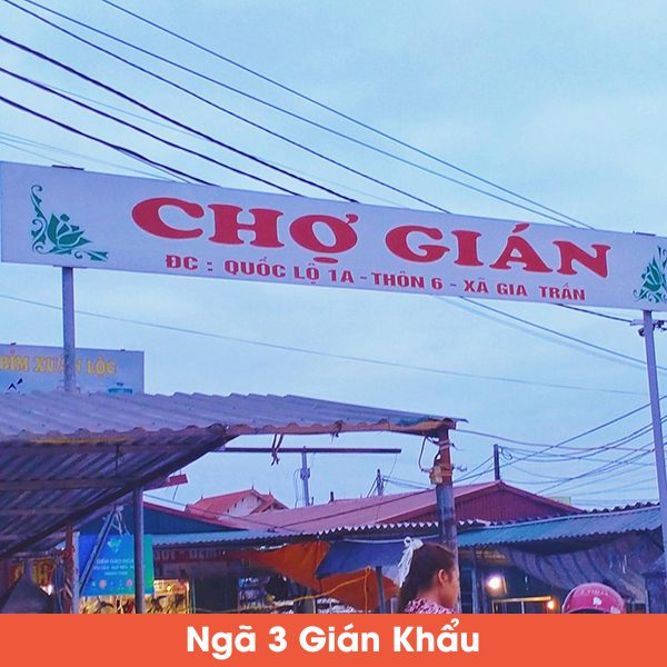 171068753 1708045476044425 6853486344498067710 n