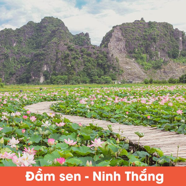 ninh thang