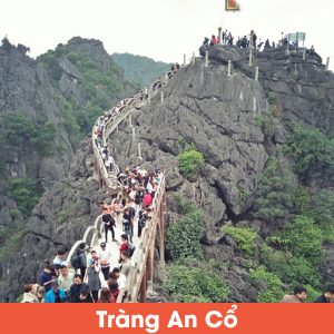 Limousine Hà Nội về Tràng An Cổ