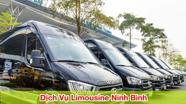 dich vu limousine ninh binh trai nghiem sang trong va dang cap