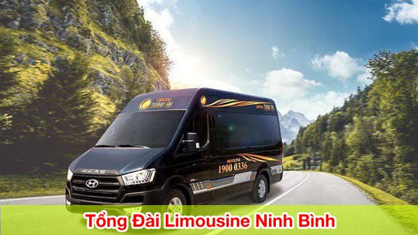 tong dai limousine ninh binh cuoc hanh trinh sang trong va thuan loi